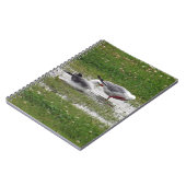 Seagulls in een puddle notitieboek (Linkerzijde)