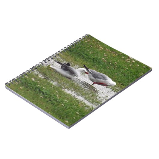 Seagulls in een puddle notitieboek (Linkerzijde)