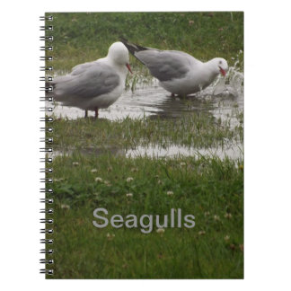 Seagulls in een puddle notitieboek