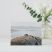 Seagulls in Kennebunkport, Maine Briefkaart (Staand voorkant)