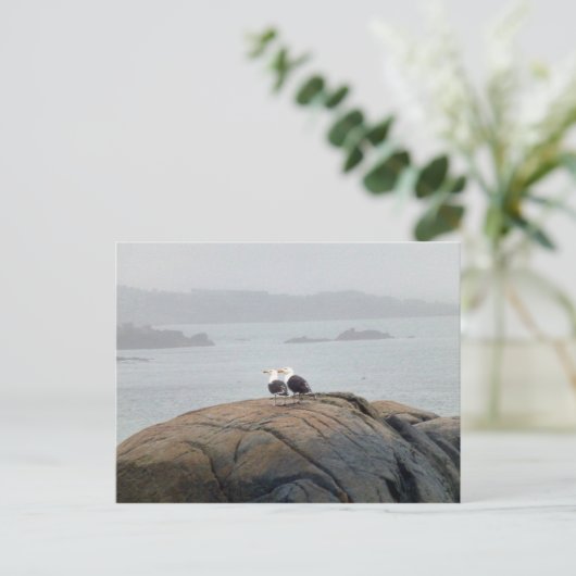 Seagulls in Kennebunkport, Maine Briefkaart (Staand voorkant)