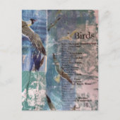 Seagulls list of birds mixed media collage briefkaart (Voorkant)