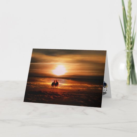 Seagulls - Lovevogels op de Sunset Valentijnsdag Feestdagen Kaart (Voorkant)