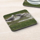 Seagulls maken van een plash bier onderzetter (Linkerzijde)