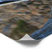 Seagulls, Monterey Poster (Hoek)