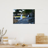 Seagulls, Monterey Poster (Keuken)