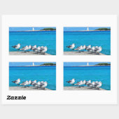 Seagulls, Nassau, Bahamas  Rechthoekige Sticker (Vel)