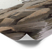 Seagulls on Rocks Poster (Hoek)