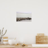 Seagulls on Rocks Poster (Keuken)