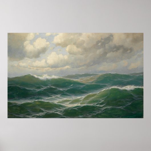 Seagulls Over Waves door Max Jensen Poster (Voorkant)