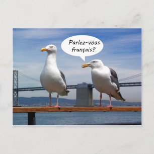 Seagulls speak French Briefkaart