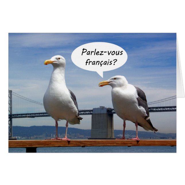 Seagulls spreken Frans (Voorkant Horizontaal)