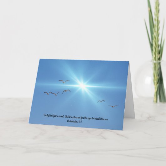 Seagulls Sun Scripture Note Kaart ecclesiastes 11: (Voorkant)