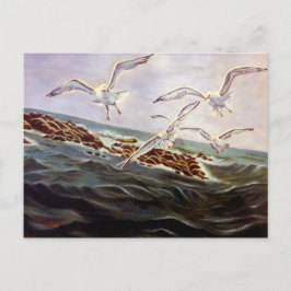 Seagulls van het Briefkaart van Kindness