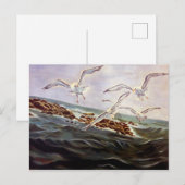 Seagulls van het Briefkaart van Kindness (Voorkant / Achterkant)