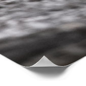 Seagulls Wildlife Photo Poster (Hoek)