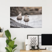 Seagulls Wildlife Photo Poster (Thuiskantoor)