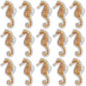 Seahorse 15 Large Waterverf Painted Transparent Sticker (Voorkant)