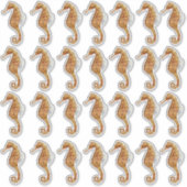 Seahorse 28 Waterverf Geschilderd Transparant Sticker (Voorkant)