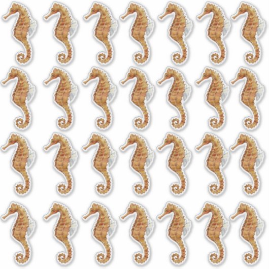Seahorse 28 Waterverf Geschilderd Transparant Sticker (Voorkant)