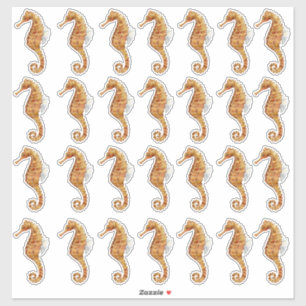 Seahorse 28 Waterverf Geschilderd Transparant Sticker