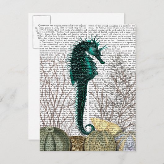 SeaHorse and Zee Urchins 2 Briefkaart (Voorkant / Achterkant)