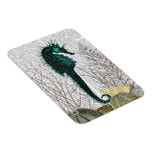 SeaHorse and Zee Urchins 2 Magneet (Rechterzijde)
