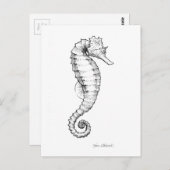 Seahorse Black and White Drawing Briefkaart (Voorkant / Achterkant)