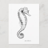 Seahorse Black and White Drawing Briefkaart (Voorkant)