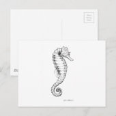 Seahorse Black and White Tekening Briefkaart (Voorkant / Achterkant)