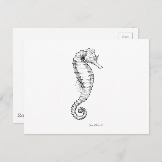 Seahorse Black and White Tekening Briefkaart (Voorkant / Achterkant)