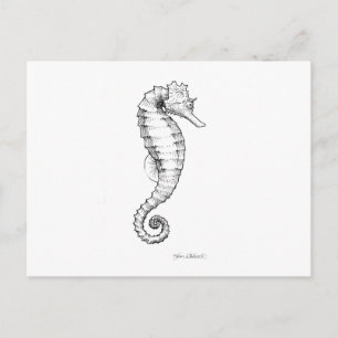 Seahorse Black and White Tekening Briefkaart