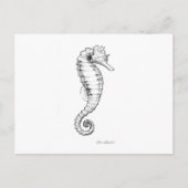 Seahorse Black and White Tekening Briefkaart (Voorkant)