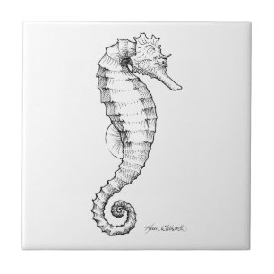 Seahorse Black and White Tekening Tegeltje
