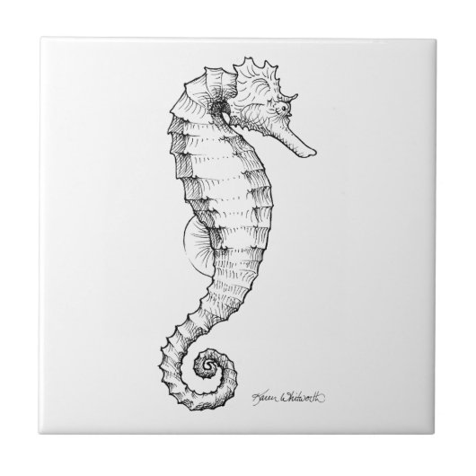 Seahorse Black and White Tekening Tegeltje (Voorkant)
