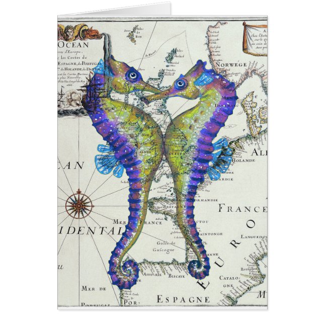 Seahorse Blue (Voorkant)