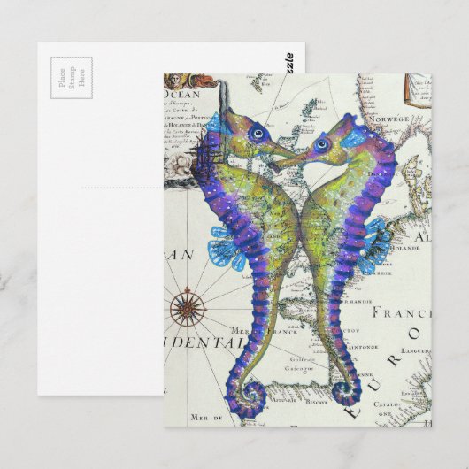 Seahorse Blue Briefkaart (Voorkant / Achterkant)