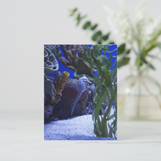 Seahorse Briefkaart (Staand voorkant)