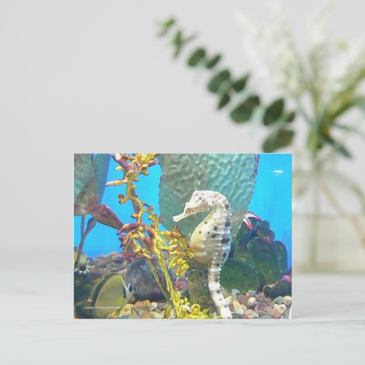 Seahorse Briefkaart (Staand voorkant)