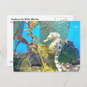Seahorse Briefkaart (Voorkant / Achterkant)