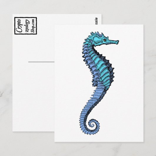 Seahorse Briefkaart (Voorkant / Achterkant)