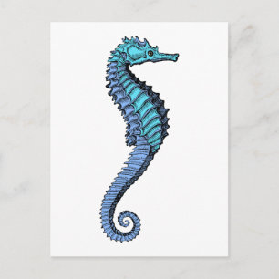 Seahorse Briefkaart
