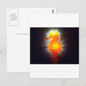 Seahorse Briefkaart (Voorkant / Achterkant)