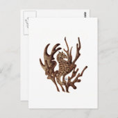Seahorse Briefkaart (Voorkant / Achterkant)