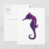 Seahorse Briefkaart (Voorkant / Achterkant)