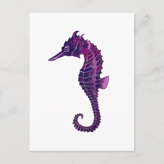 Seahorse Briefkaart (Voorkant)