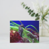 Seahorse Briefkaart (Staand voorkant)