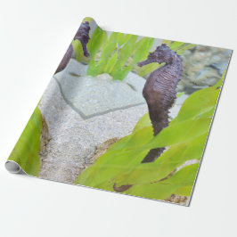 Seahorse cadeauverpakking cadeaupapier