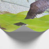 Seahorse cadeauverpakking cadeaupapier (Hoek)