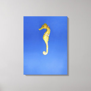 Seahorse Canvas Afdruk